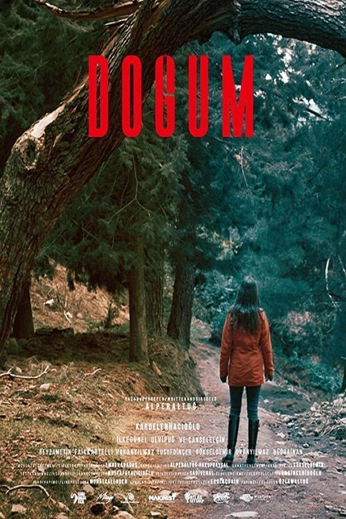 Poster do filme Doğum