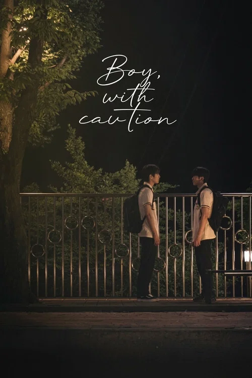 Boy, with caution tv show poster
