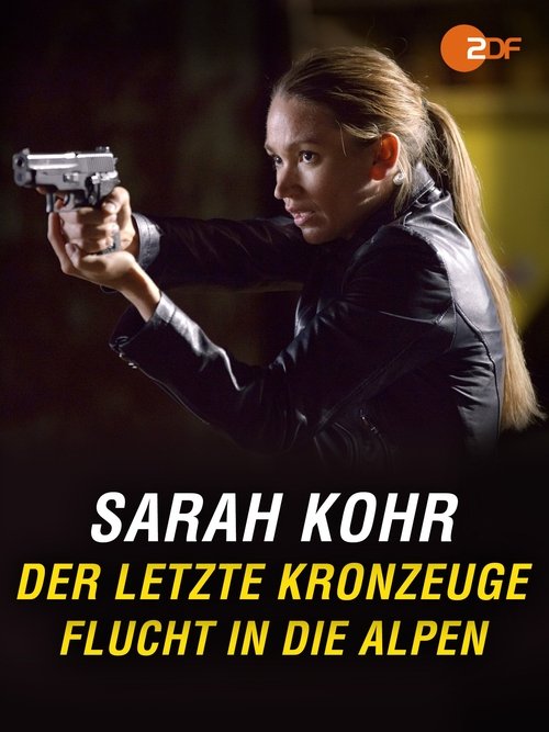 Der letzte Kronzeuge - Flucht in die Alpen movie poster