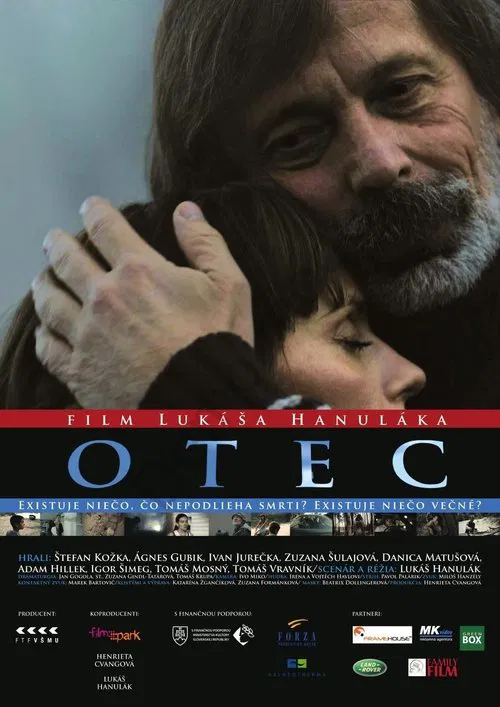 The Father movie poster