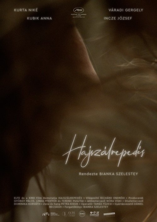 Poster do filme Craze