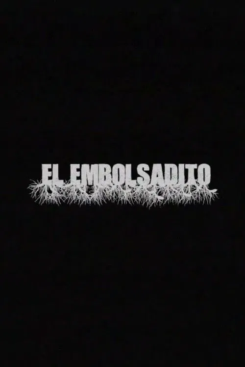 Poster do filme El Embolsadito