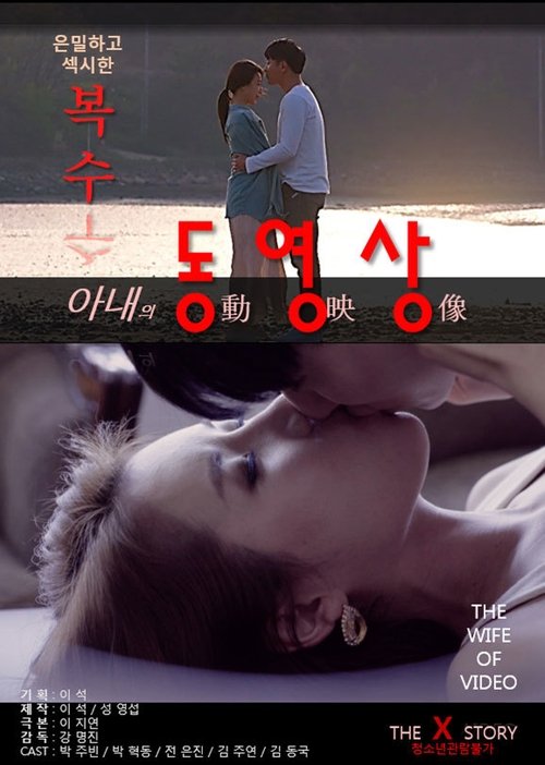 Wife's Videos movie poster