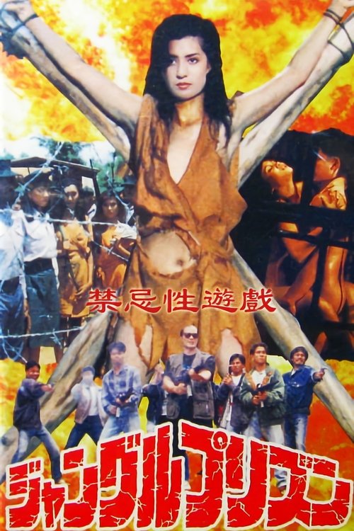 Poster do filme Erotic Journey