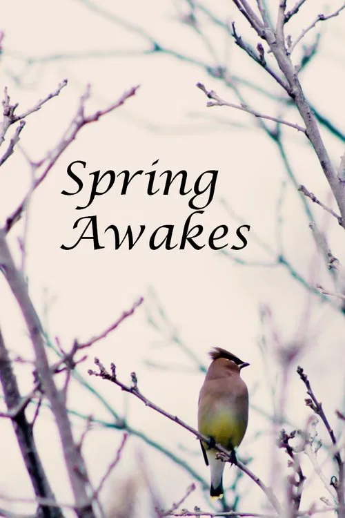 Spring Awakes movie poster