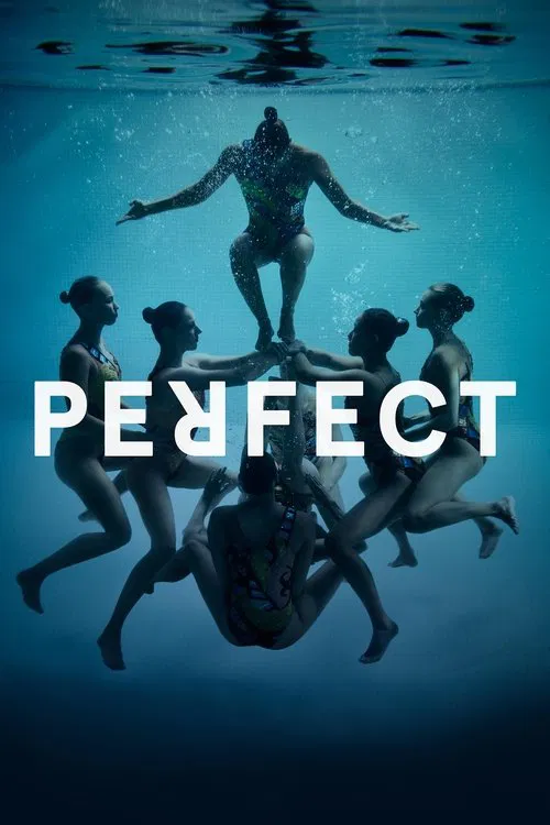 Perfect movie poster