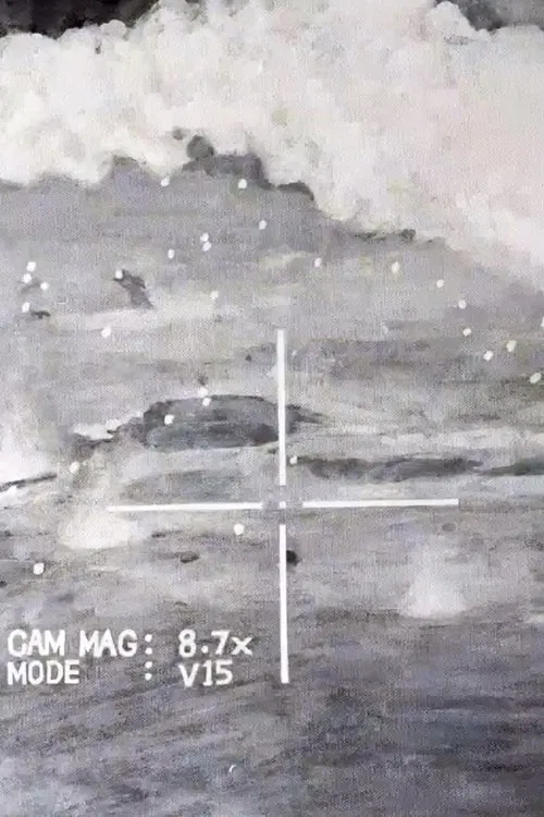 Poster do filme KINO FLOW vol.1 うたかたの