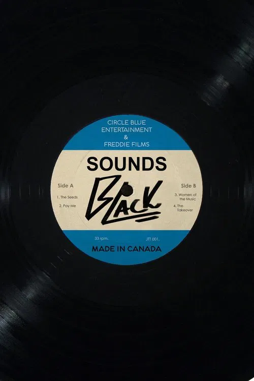 Sounds Black tv show poster