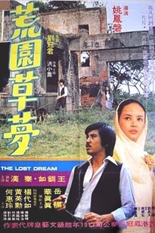 The Lost Dream movie poster