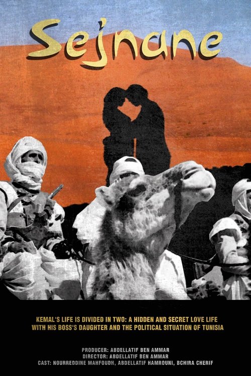 Sejnane movie poster