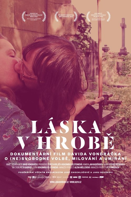 Poster do filme Love in the Grave