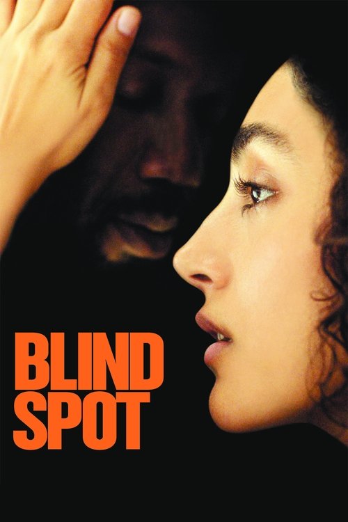 Blind Spot movie poster