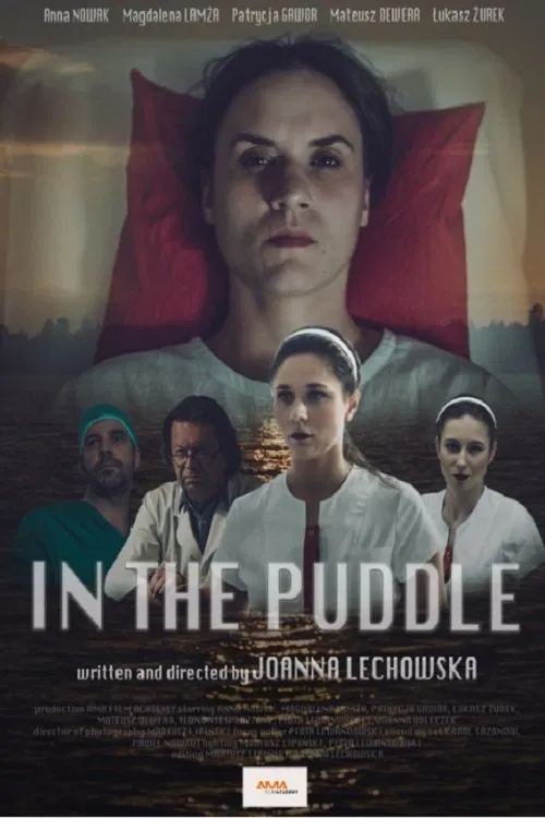 In the Puddle movie poster