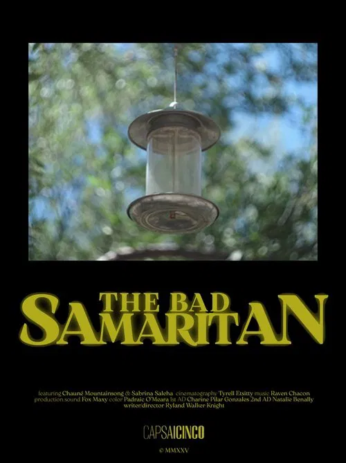 Poster do filme The Bad Samaritan
