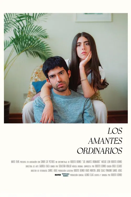 Poster do filme The Ordinary Lovers