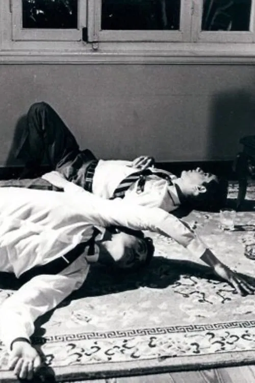 On the Cosy Side movie poster