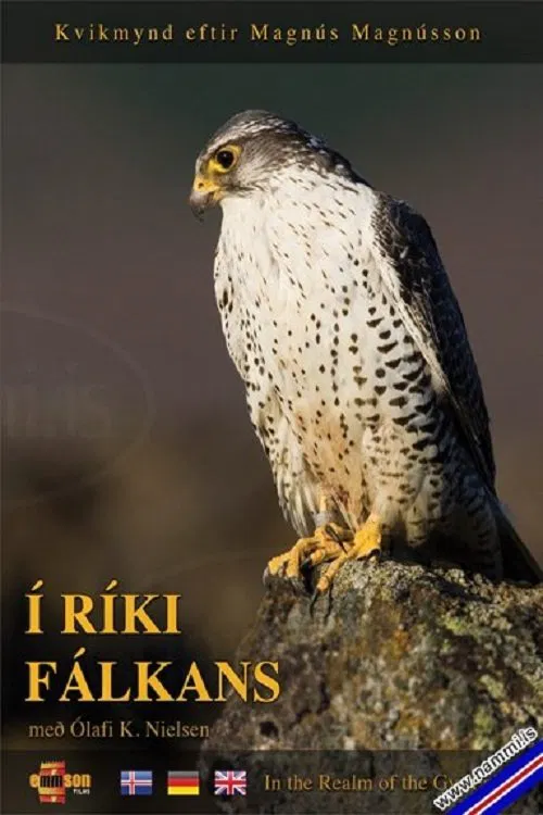 In the Realm of the Gyr Falcon movie poster