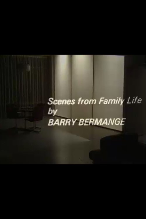 Scenes from Family Life movie poster