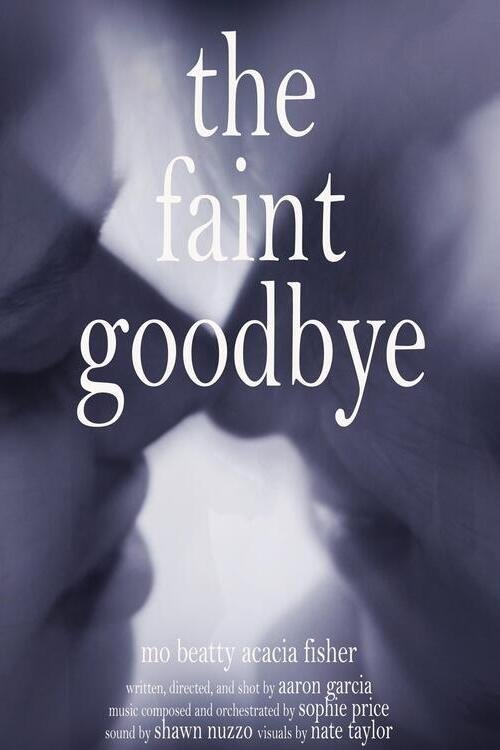 The Faint Goodbye movie poster