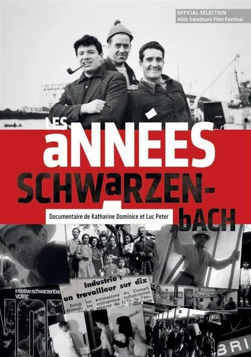Les années Schwarzenbach movie poster