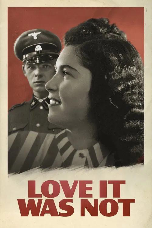 Love It Was Not movie poster