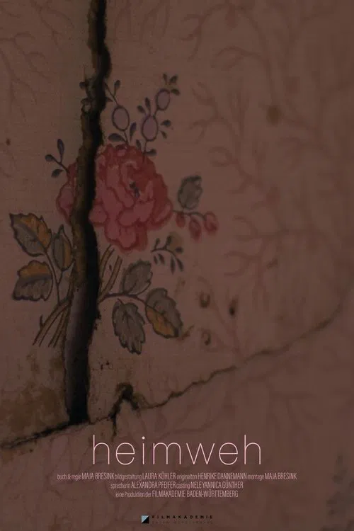 Homesick movie poster