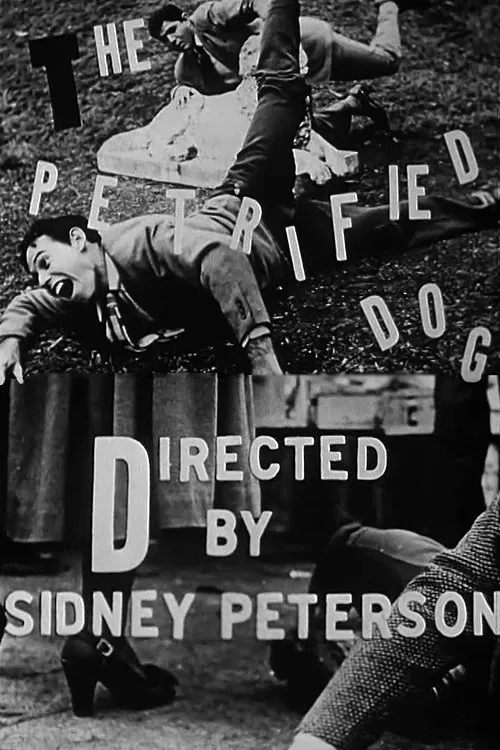 The Petrified Dog movie poster