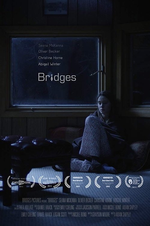 Bridges movie poster