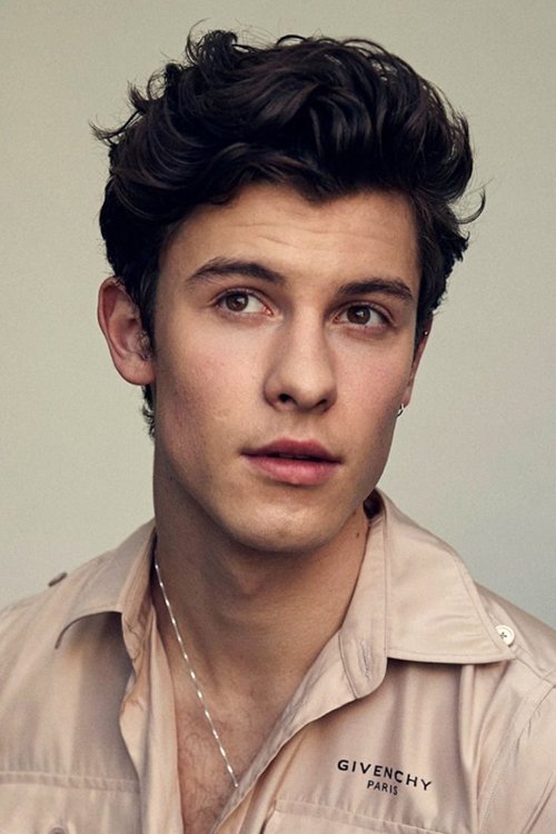 Shawn Mendes profile picture