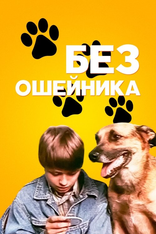 Without a Collar movie poster