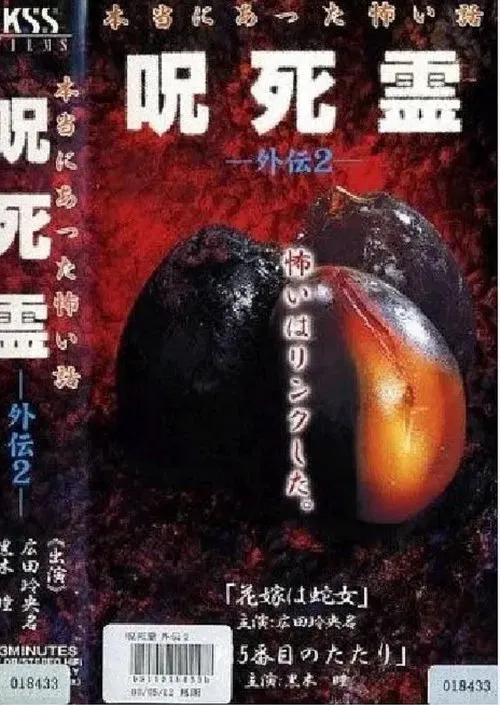 Curse. Death. Ling Gaiden 2. A scary story that really happened Cursed Spirit Gaiden 2 movie poster