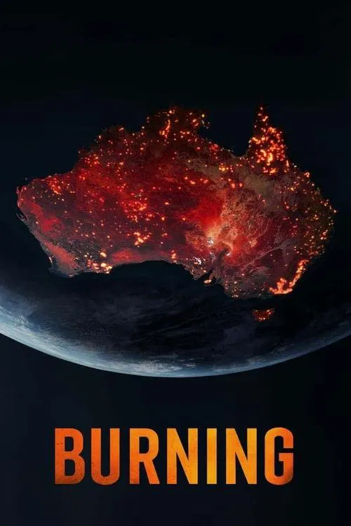 Burning movie poster