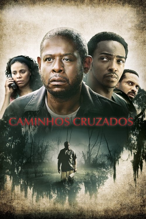 Poster do filme Caminhos Cruzados