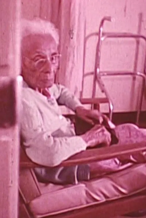 Nice Biscotts #2 movie poster