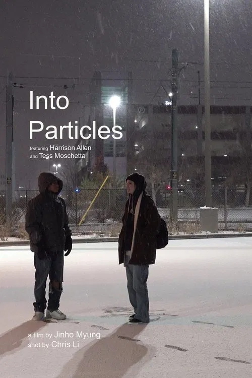 Into Particles movie poster