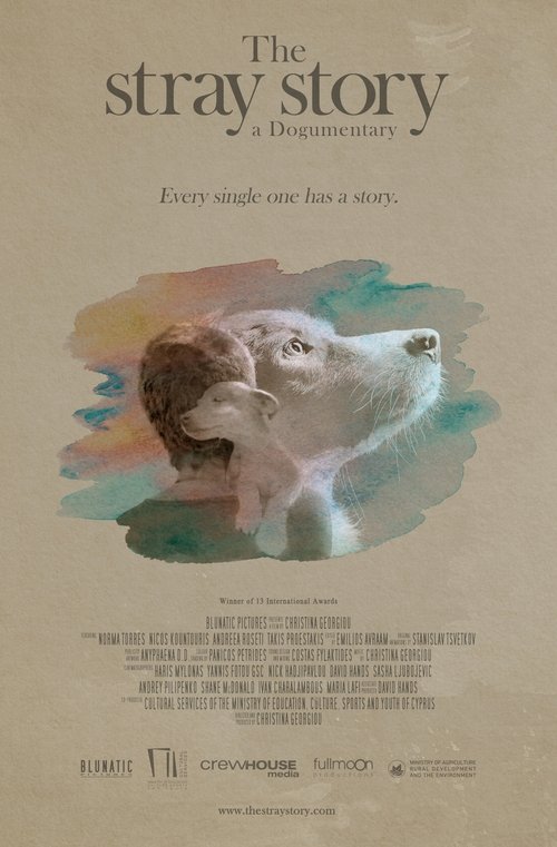 The Stray Story: A Dogumentary movie poster