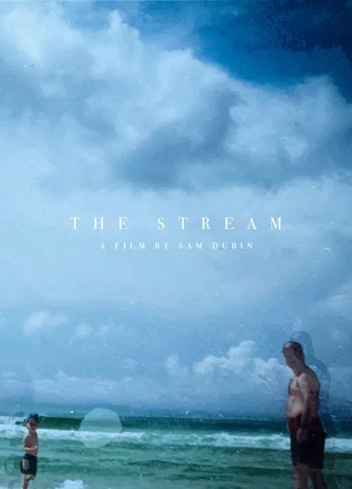 The Stream movie poster