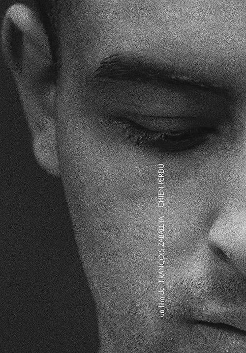 Chien perdu movie poster