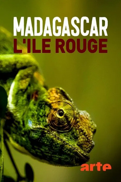 Poster do filme Madagascar, l'île rouge : La jungle des lémuriens