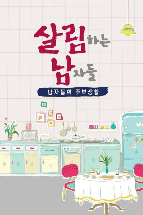 Mr. House Husband tv show poster