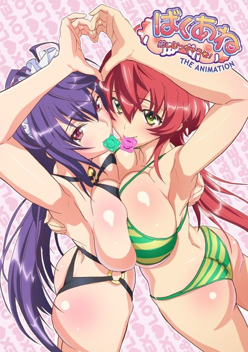 Baku Ane: Otouto Shibocchau zo! The Animation tv show poster