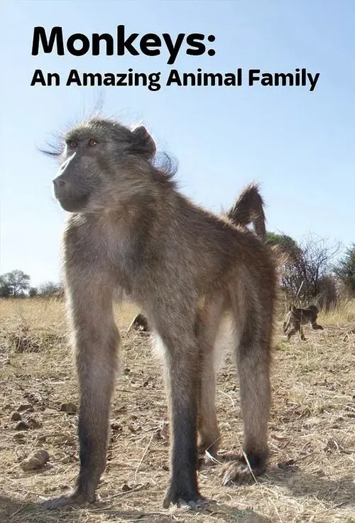 Monkeys: An Amazing Animal Family tv show poster