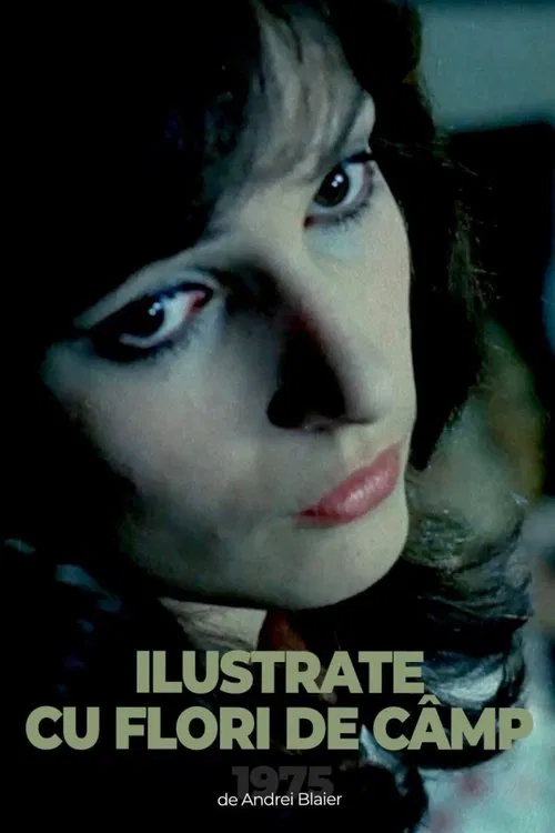 Postcards with Wildflowers movie poster