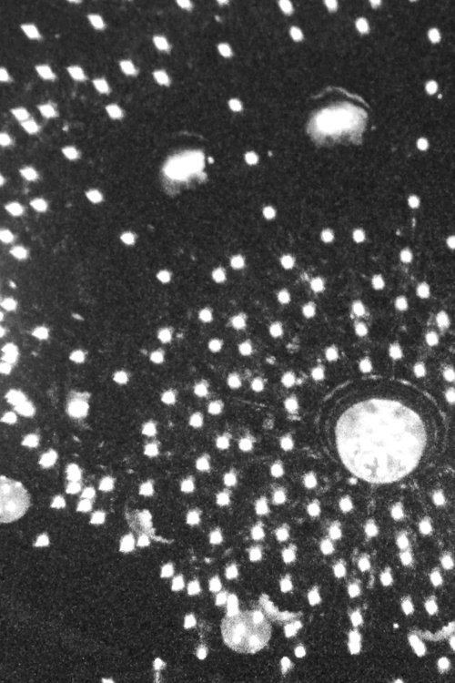 Poster do filme Cruz Del Sur