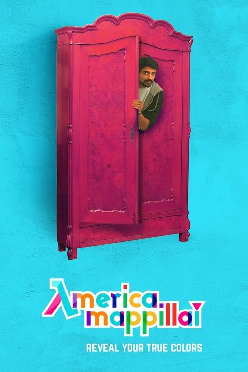 America Mappillai tv show poster