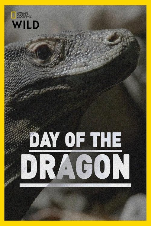 Day of the Dragon movie poster