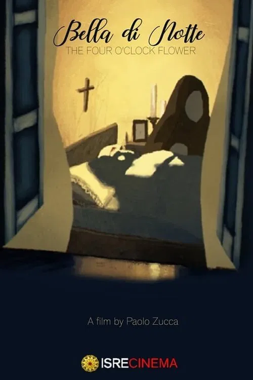 Bella di notte movie poster