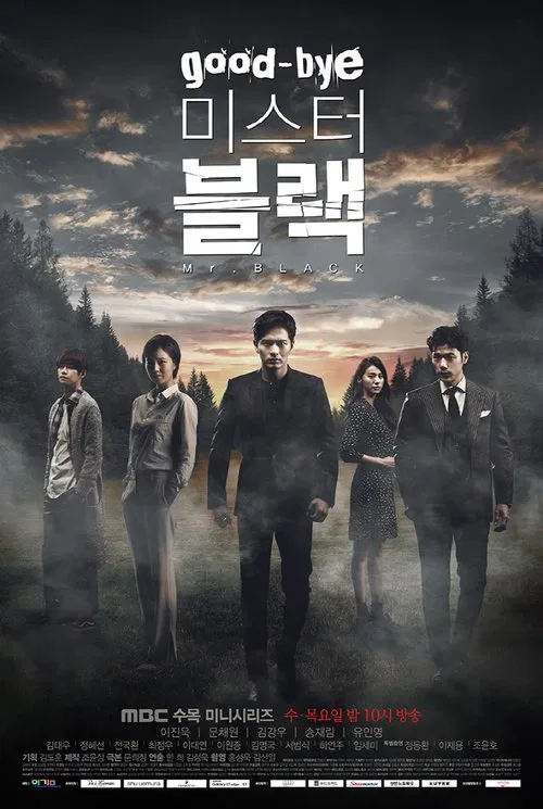 Goodbye Mr. Black tv show poster