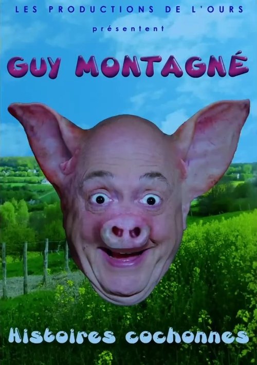 Poster do filme Histoires Cochonnes