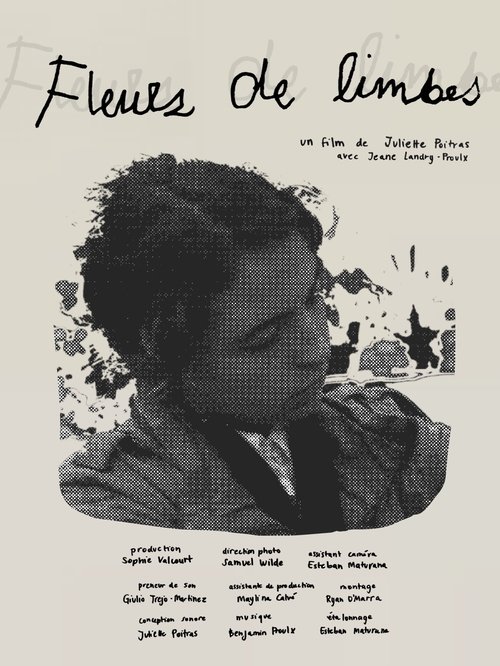 Fleurs de limbes movie poster